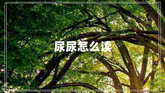 尿尿怎么讀