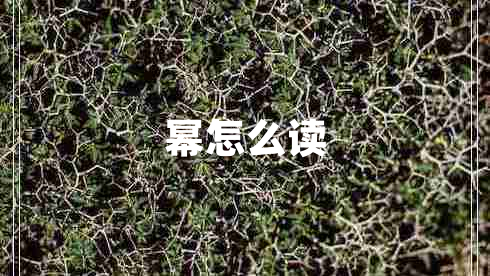 冪怎么讀