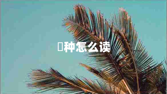 喰種怎么讀