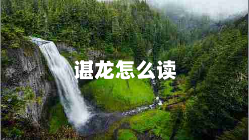 諶龍怎么讀