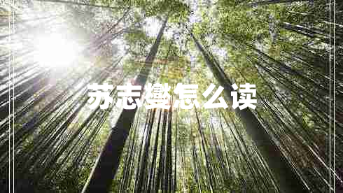 蘇志燮怎么讀