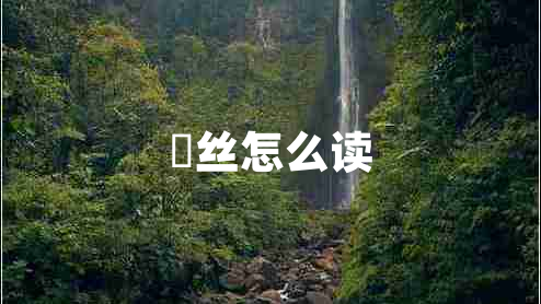 屌絲怎么讀