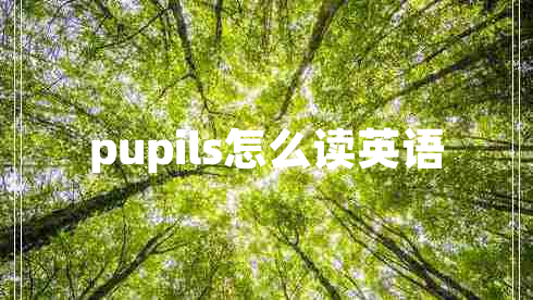 pupils怎么讀英語(yǔ)