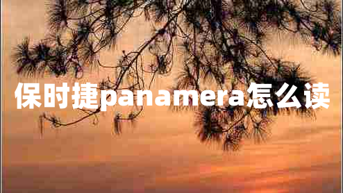 保時捷panamera怎么讀