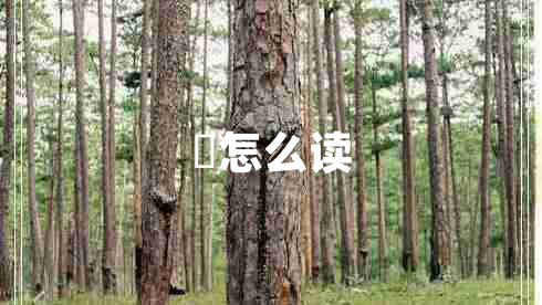 叒怎么讀