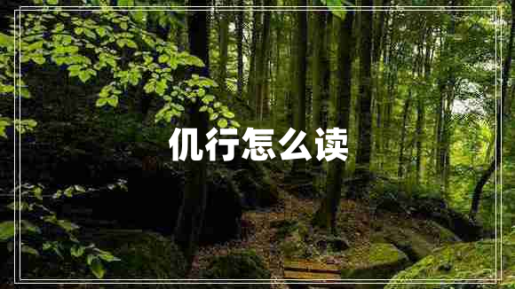 仉行怎么讀