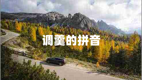 調羹的拼音
