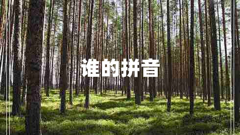 誰(shuí)的拼音