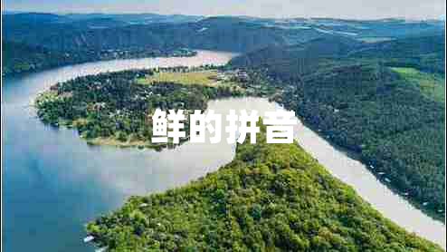 鮮的拼音