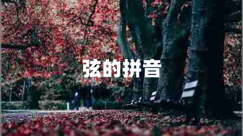 弦的拼音