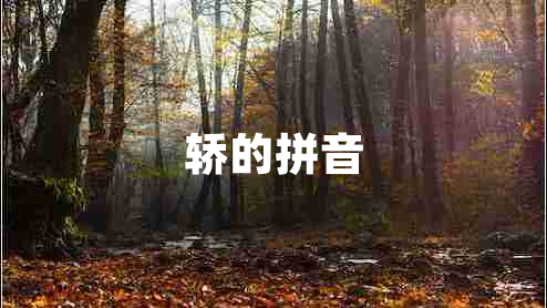 轎的拼音