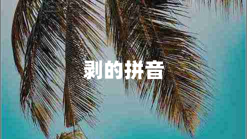 剝的拼音