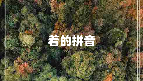 著(zhù)的拼音