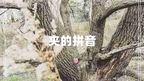 夾的拼音