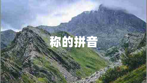稱(chēng)的拼音