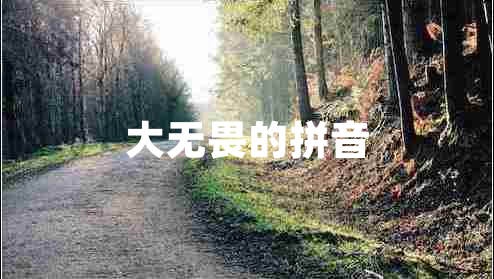 大無(wú)畏的拼音