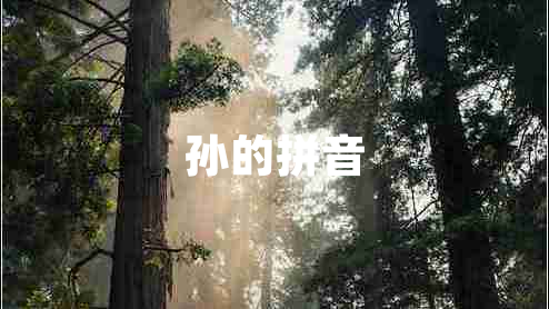孫的拼音