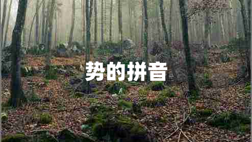 勢的拼音