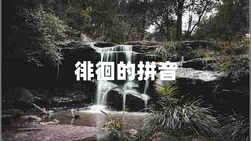 徘徊的拼音
