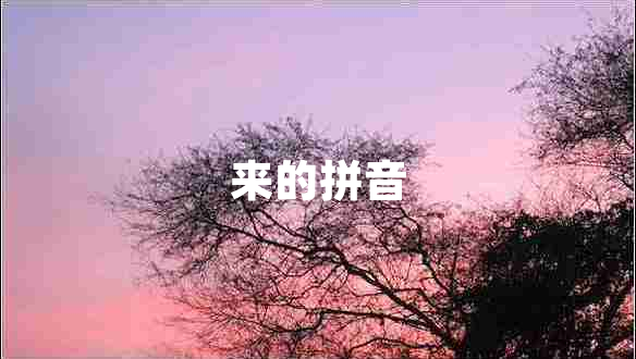 來(lái)的拼音
