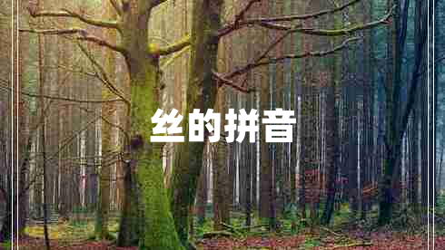 絲的拼音