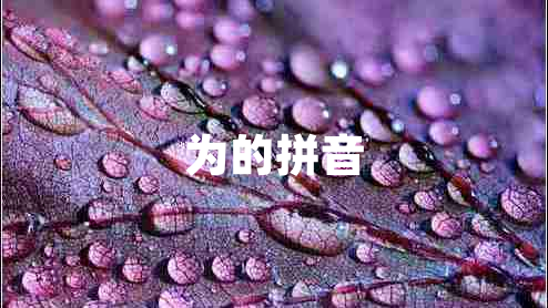 為的拼音