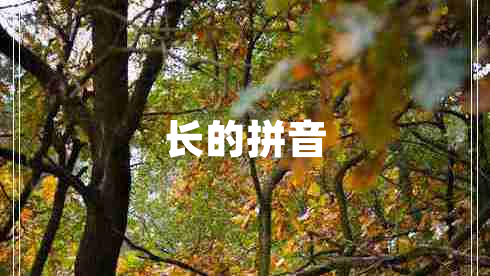 長(cháng)的拼音