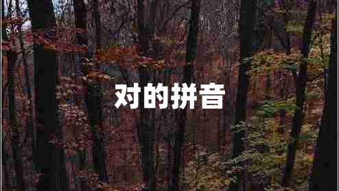 對的拼音