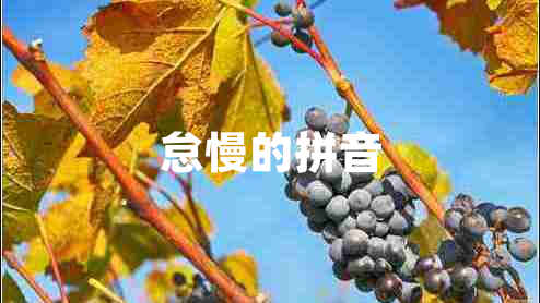 怠慢的拼音