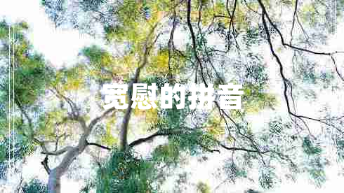 寬慰的拼音