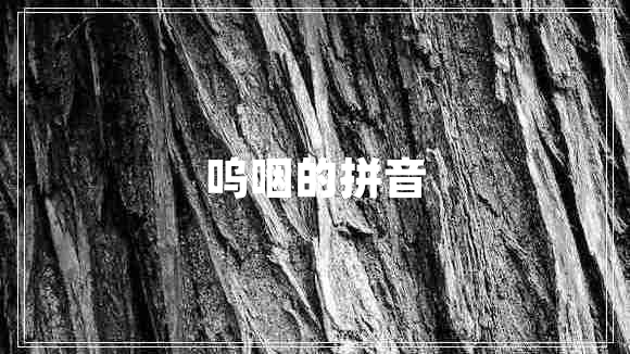 嗚咽的拼音