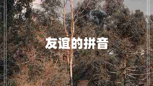 友誼的拼音
