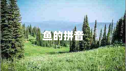 魚(yú)的拼音