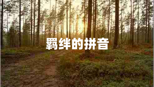 羈絆的拼音
