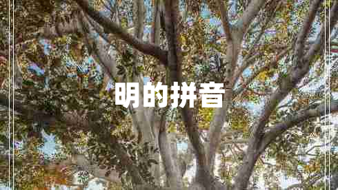 明的拼音