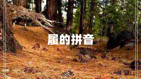 履的拼音