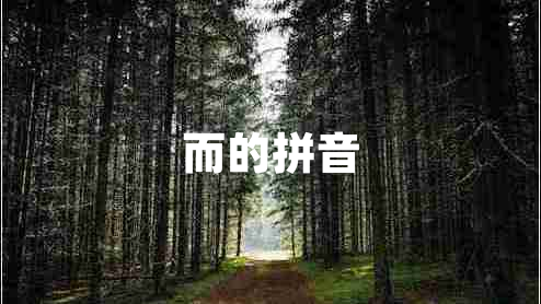 而的拼音