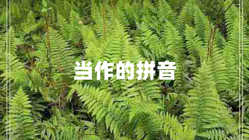 當作的拼音