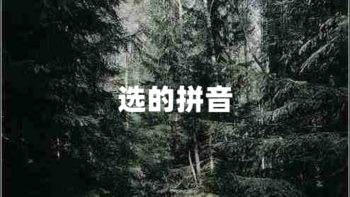 選的拼音