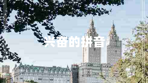 興奮的拼音