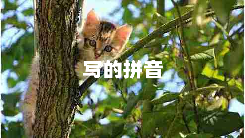 寫的拼音
