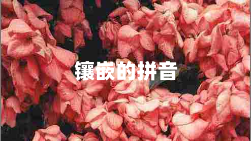 鑲嵌的拼音