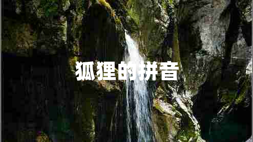 狐貍的拼音