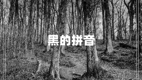 黑的拼音