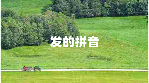 發(fā)的拼音