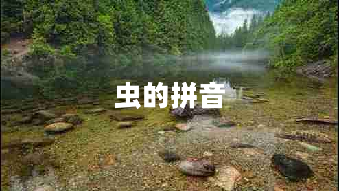 蟲(chóng)的拼音