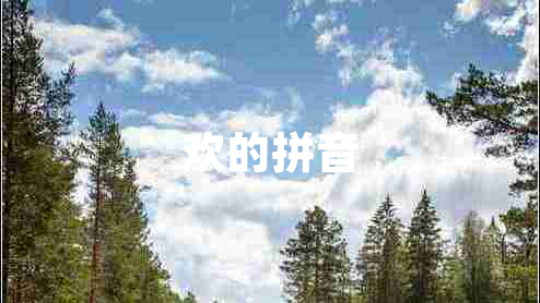 歡的拼音