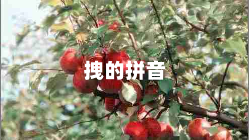 拽的拼音