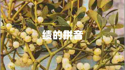 績(jī)的拼音