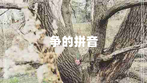 爭的拼音